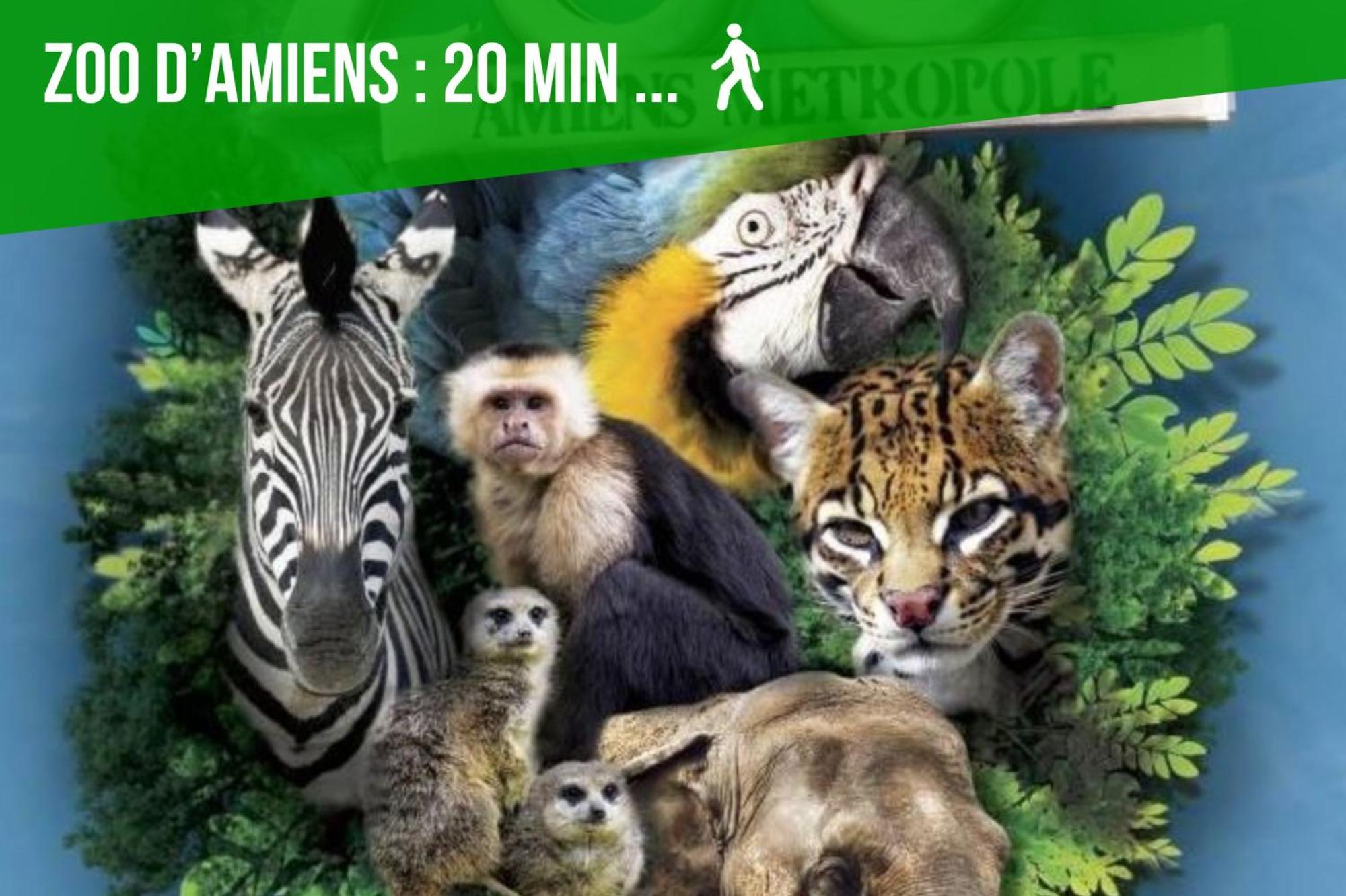 La Jungle Insolite, Spa, Ecran Cinema, Lit A Baldaquin King Size, Day Use, 10 Min Centre Amiens Ngoại thất bức ảnh